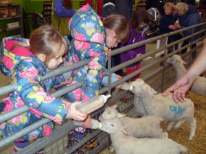 The Cotswold Farm Park